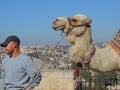 Camel ride on Mount of Olives